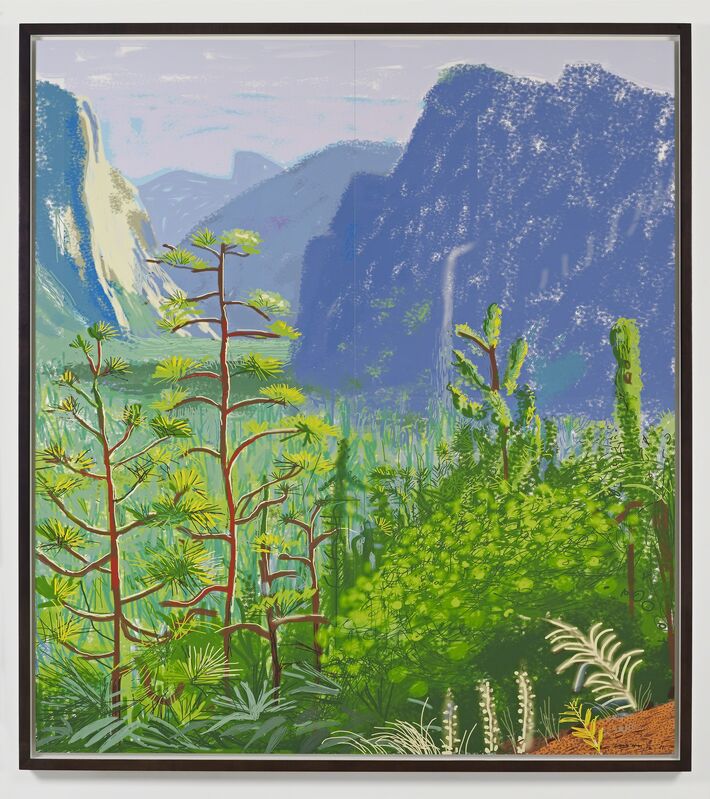 David Hockney, ‘Yosemite 1, October 16th 2011’, 2011, Print, IPad drawing, DELAHUNTY