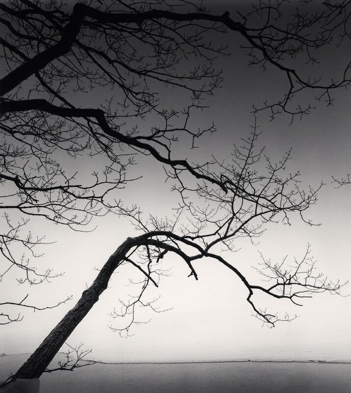 Michael Kenna, ‘Eloquent Trees, Kussharo Lake, Hokkaido, Japan’, 2013, Photography, Gelatin silver print, Patricia Conde Galería