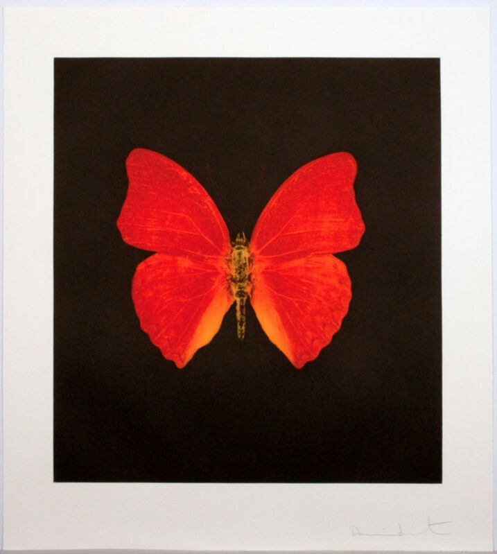 Damien Hirst, ‘Damien Hirst, Memento - Orange Big Butterfly’, 2008, Print, Color Etching with Aquatint on Vellum, Oliver Cole Gallery