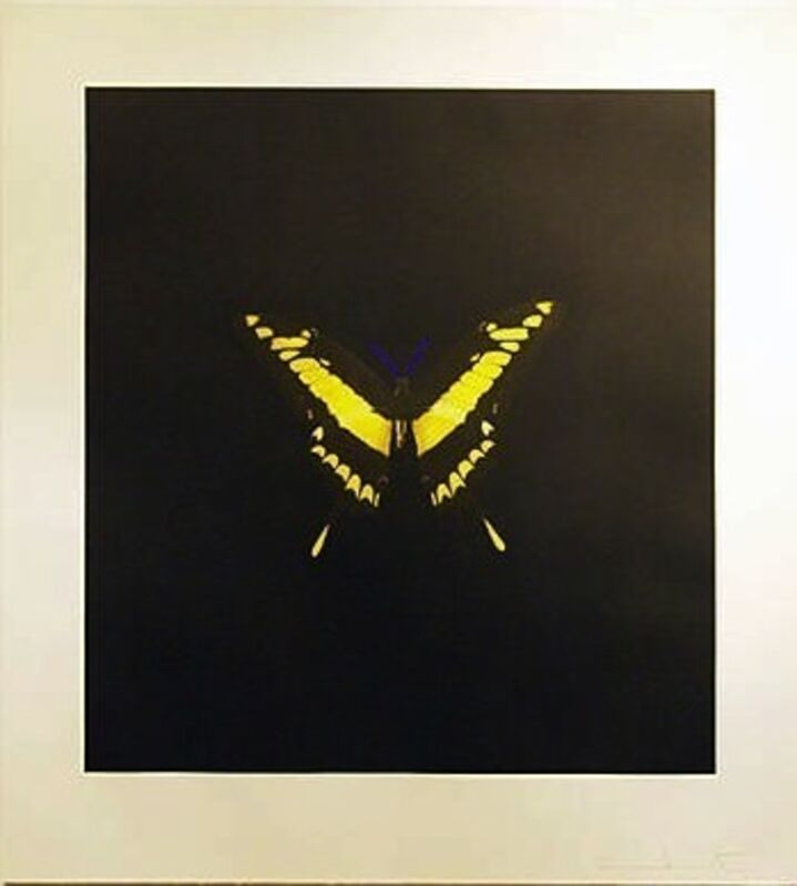 Damien Hirst, ‘Small Yellow’, 2007, Print, Hand inked photogravure on 400 gsm Velin d'Arches, Vertu Fine Art