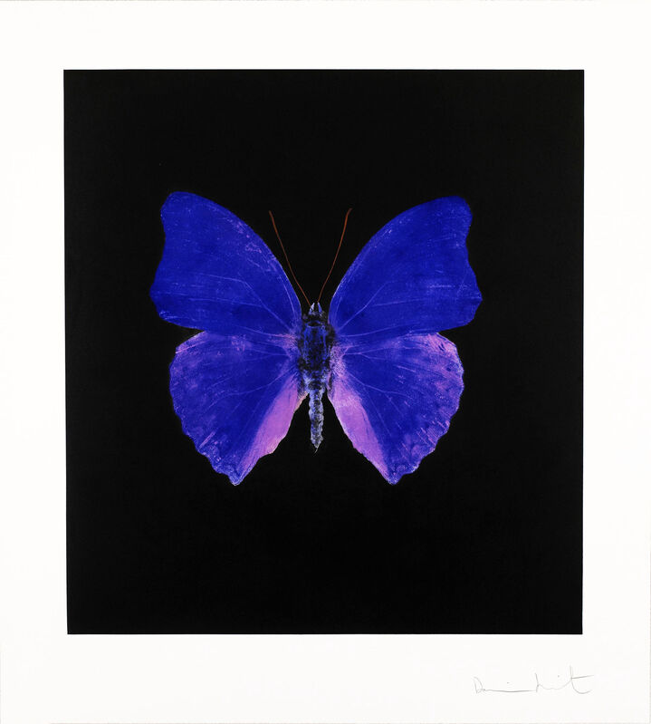 Damien Hirst, ‘Butterfly Souls Etching, Cobalt ’, 2007, Print, Etching on Velin Arches Paper, Arton Contemporary