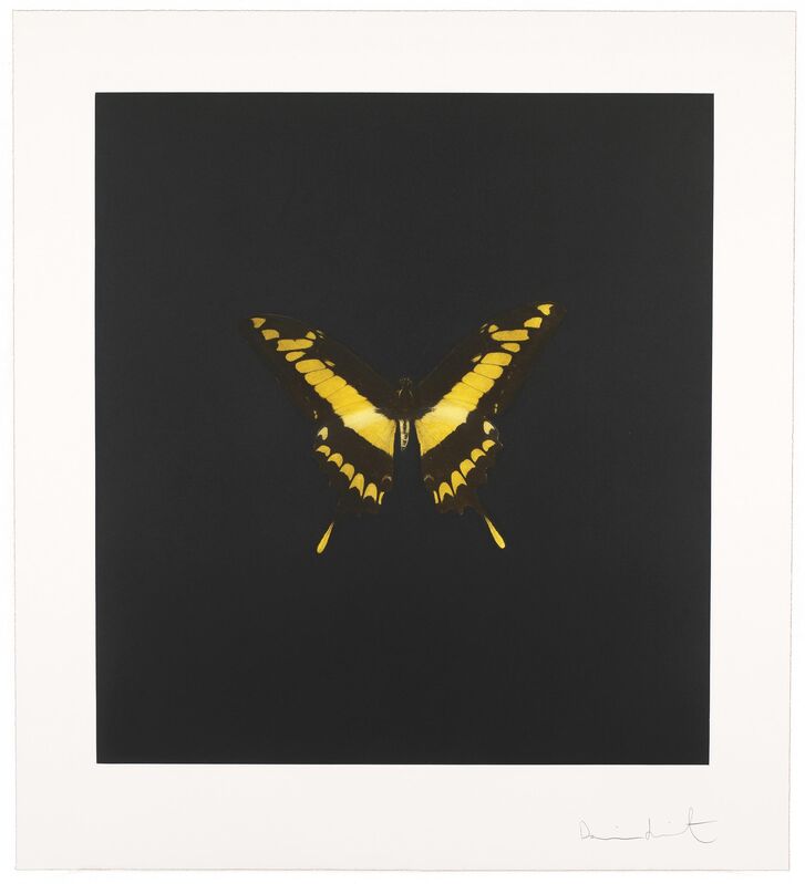 Damien Hirst, ‘The Souls on Jacob's Ladder Take Their Flight’, 2007, Print, Etching, Andipa