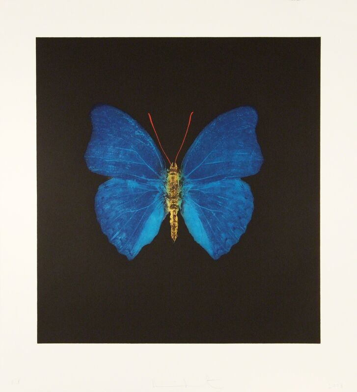 Damien Hirst, ‘The Souls on Jacob's Ladder Take Their Flight (Blue/Yellow)’, 2008, Print, Hand-inked photogravure on 400 gsm Velin d'Arches paper, Andipa