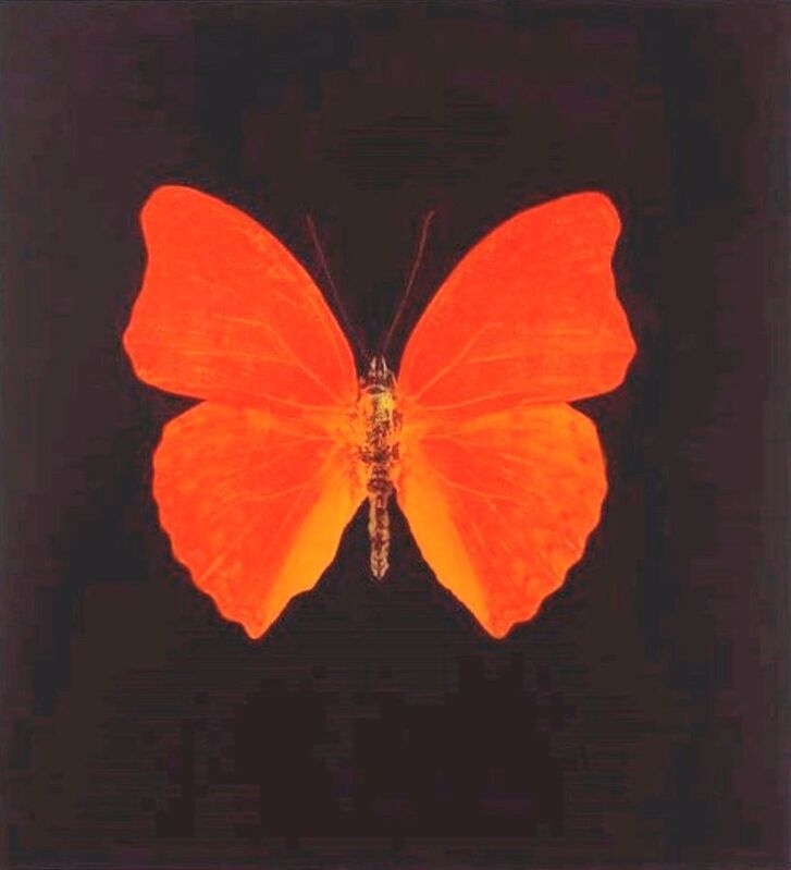 Damien Hirst, ‘Memento (03 - Large Orange Butterfly)’, 2007, Print, Photogravure Etching, Colley Ison Gallery