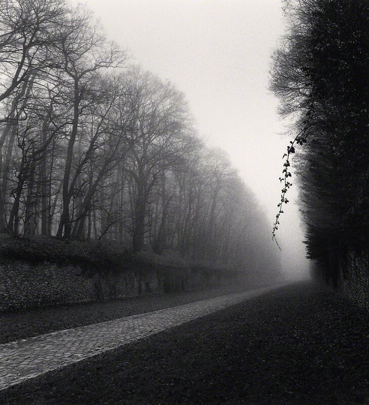 Michael Kenna, ‘Suspended Vine, Marly, France’, 1995, Photography, Toned gelatin silver print, G. Gibson Gallery