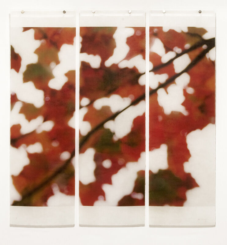 Jeri Eisenberg, ‘Autumn Splash’, 2014, Photography, Archival pigment ink on Kozo paper infused with encaustic, Kathryn Markel Fine Arts