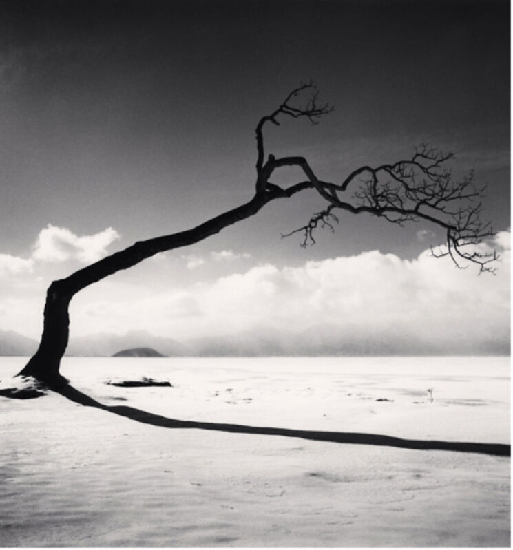 Michael Kenna, ‘Kussharo Lake Tree, Study 10, Kotan, Hokkaido, Japan’, 2005, Photography, Gelatin Silver Print, Weston Gallery