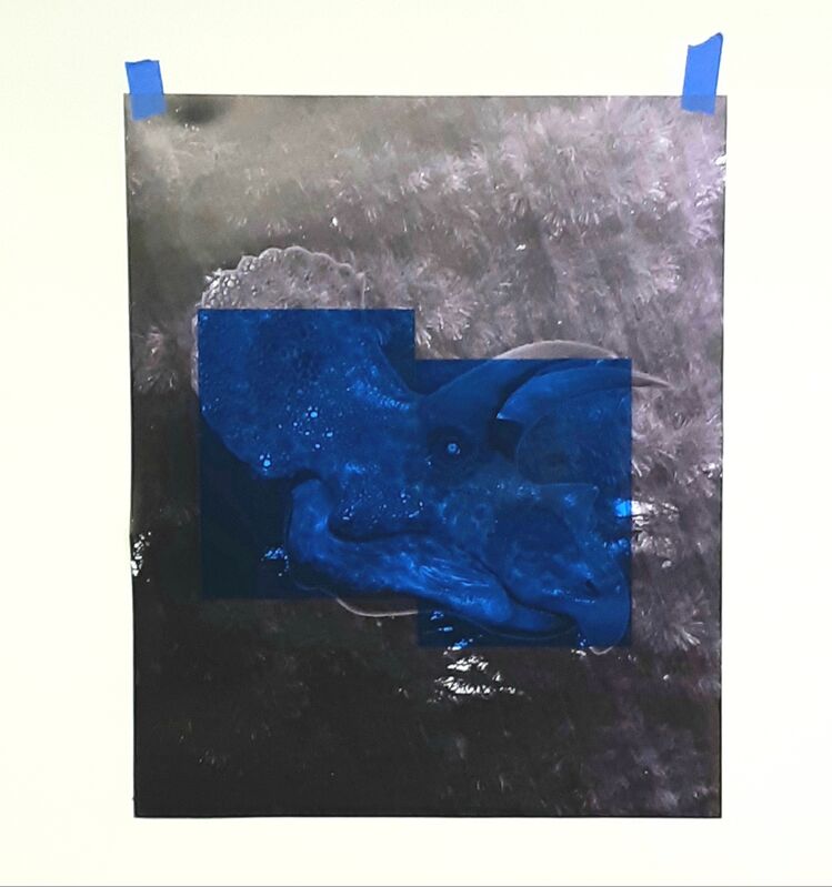 Oscar Figueroa, ‘Blue Triceratops’, 2020, Photography, Inkjet print, blue acetate, Robert Kananaj Gallery