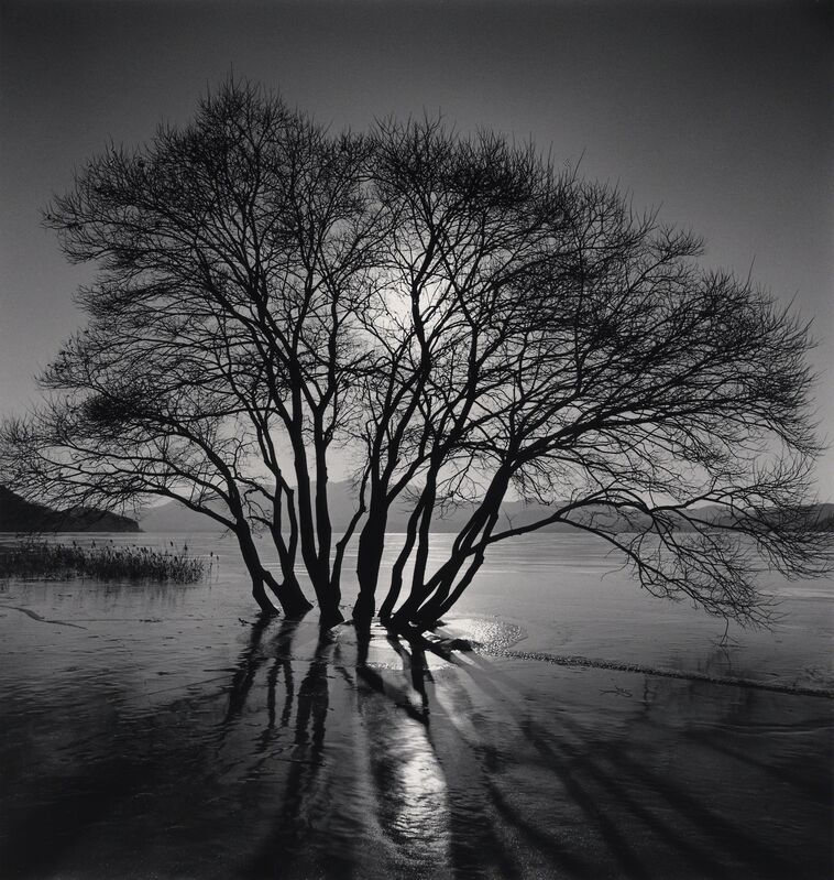 Michael Kenna, ‘Yedang Reservoir Tree, Chungcheongnam-do’, 2018, Photography, Gelatin silver print, Patricia Conde Galería