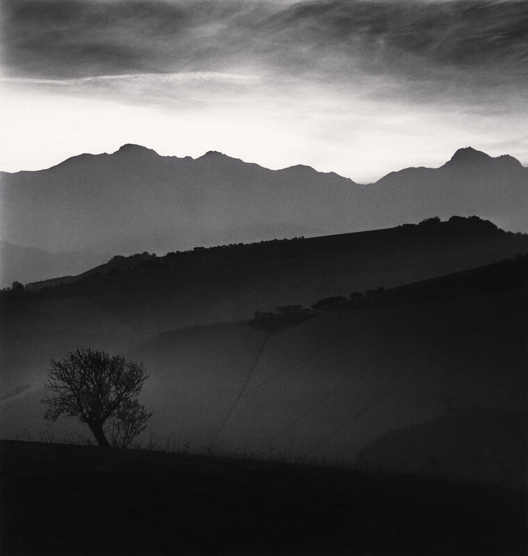 Michael Kenna, ‘Tree and Gran Sasso, Castilenti, Abruzzo, Italy’, 2015, Photography, Sepia toned silver gelatin print, Huxley-Parlour