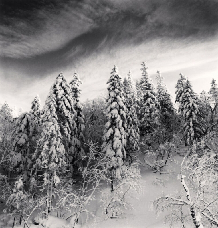 Michael Kenna, ‘Snow Clad Trees, Heilongjiang, China’, 2012, Photography, Gelatin Silver Print, Weston Gallery