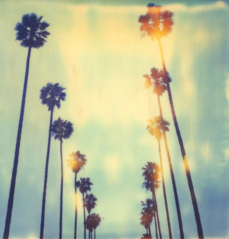 Stefanie Schneider, ‘Palm Trees at Wilcox ’, 1999, Photography, Analog C-Print, hand-printed by the artist, based on a SX-70 Polaroid, Instantdreams