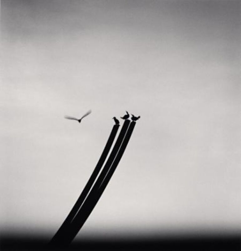 Michael Kenna, ‘Four Birds, St Nazaire, France’, 2000, Photography, Sepia toned silver gelatin print, Huxley-Parlour