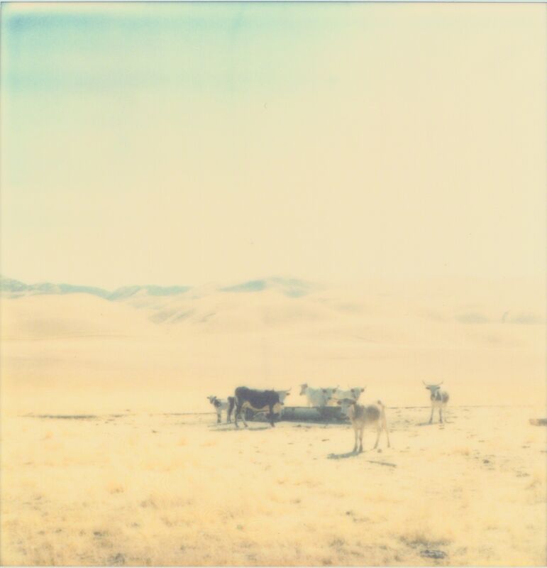 Stefanie Schneider, ‘Untitled - Oilfields’, 2004, Photography, Analog C-Print, based on an original expired Polaroid, not mounted, Instantdreams