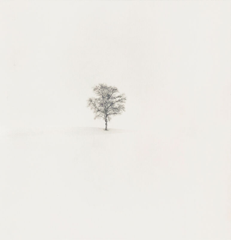Michael Kenna, ‘Field of Snow’, 2004, Photography, Gelatin silver print, ClampArt