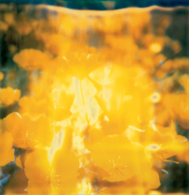 Stefanie Schneider, ‘Yellow Flower (Stranger than Paradise)’, 2005, Photography, Analog C-print, hand-printed by the artist on Fuji Crystal Archive Paper, mounted on Aluminum with matte UV-Protection., Instantdreams
