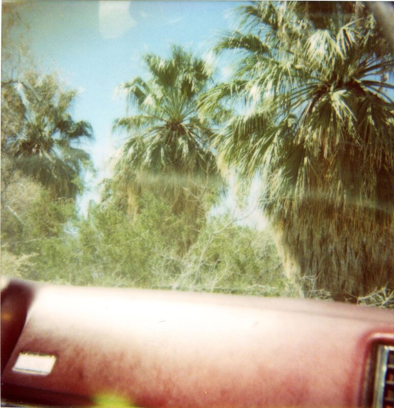 Stefanie Schneider, ‘Dashboard Palm Trees (Sidewinder) ’, 2005, Photography, Digital C-Print, based on an expired Polaroid, not mounted, Instantdreams