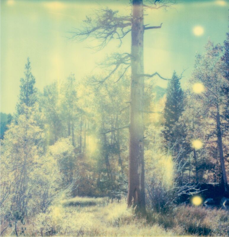 Stefanie Schneider, ‘In the Range of Light I’, 2003, Photography, Digital C-Print, based on a Polaroid, not mounted, Instantdreams