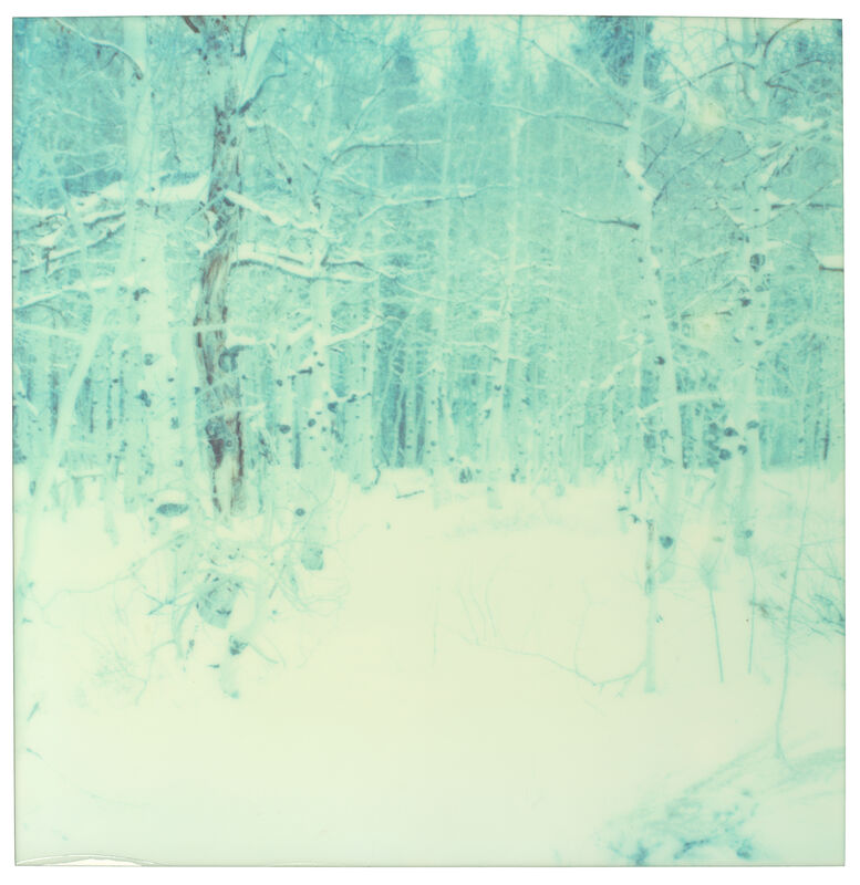 Stefanie Schneider, ‘Winter - everything’, 2003, Photography, Analog C-Print, hand-printed by the artist on Fuji Crystal Archive Paper, based on a Polaroid, not mounted, Instantdreams
