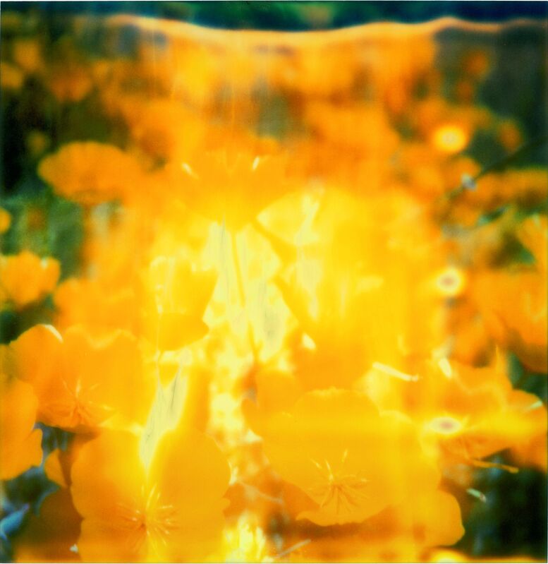 Stefanie Schneider, ‘Yellow Flower’, 2005, Photography, Analog C-Print, hand-printed by the artist on Fuji Crystal Archive Paper, based on a Polaroid, mounted on Aluminum with matte UV-Protection, Instantdreams