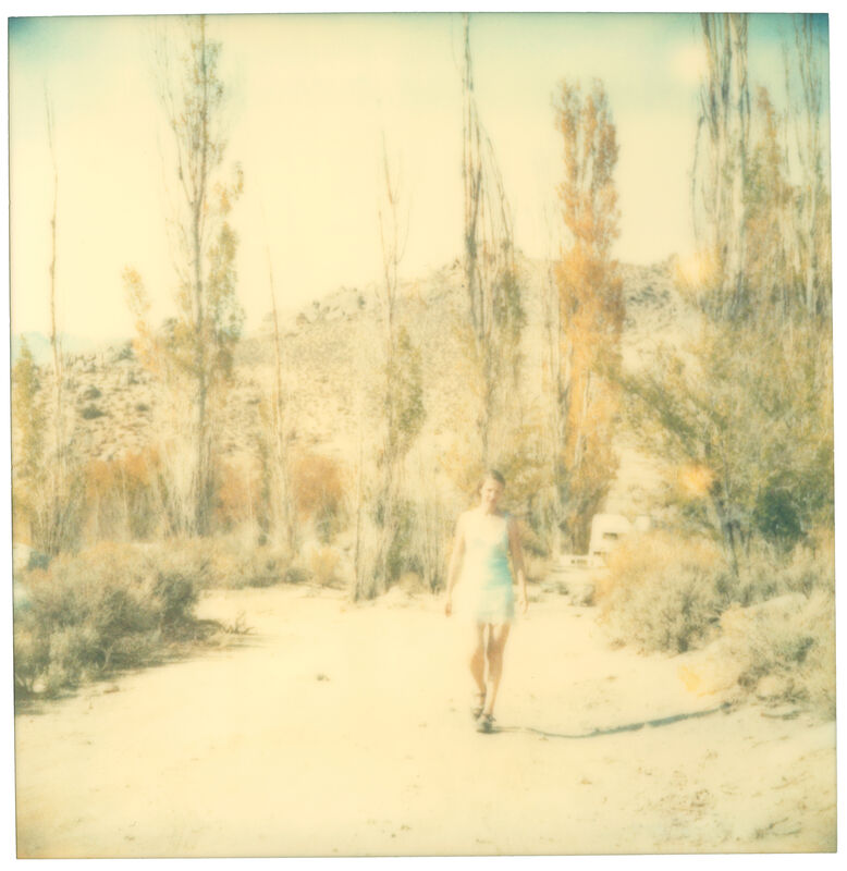 Stefanie Schneider, ‘Last Season - so I walked away from my valley (Wastelands), diptych’, 2003, Photography, 2 Analog C-Prints, hand-printed by the artist on Fuji Crystal Archive Paper, based on 2 Polaroids, mounted on Aluminum with matte UV-Protection, Instantdreams