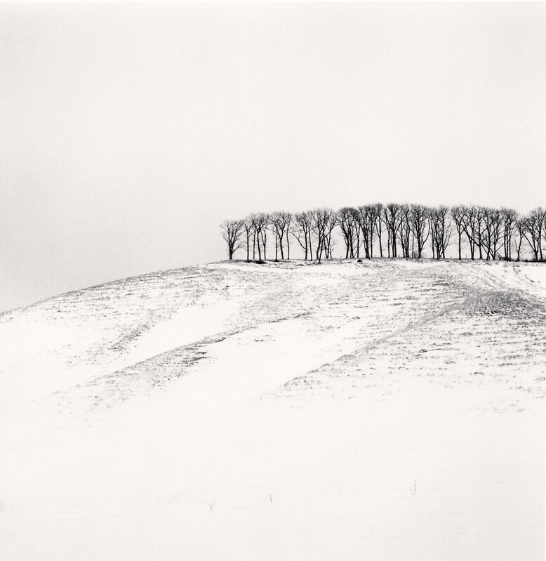 Michael Kenna, ‘Hilltop Trees, Study 4, Teshikaga, Hokkaido, Japan’, 2016, Photography, Gelatin silver print on baryta paper, Galleria 13