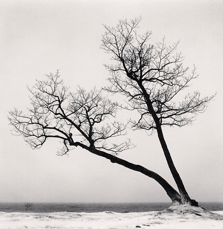 Michael Kenna, ‘Two Leaning Trees, Study 2, Kussharo Lake, Hokkaido, Japan’, 2018, Photography, Gelatin-Silver Print, photo-eye Gallery