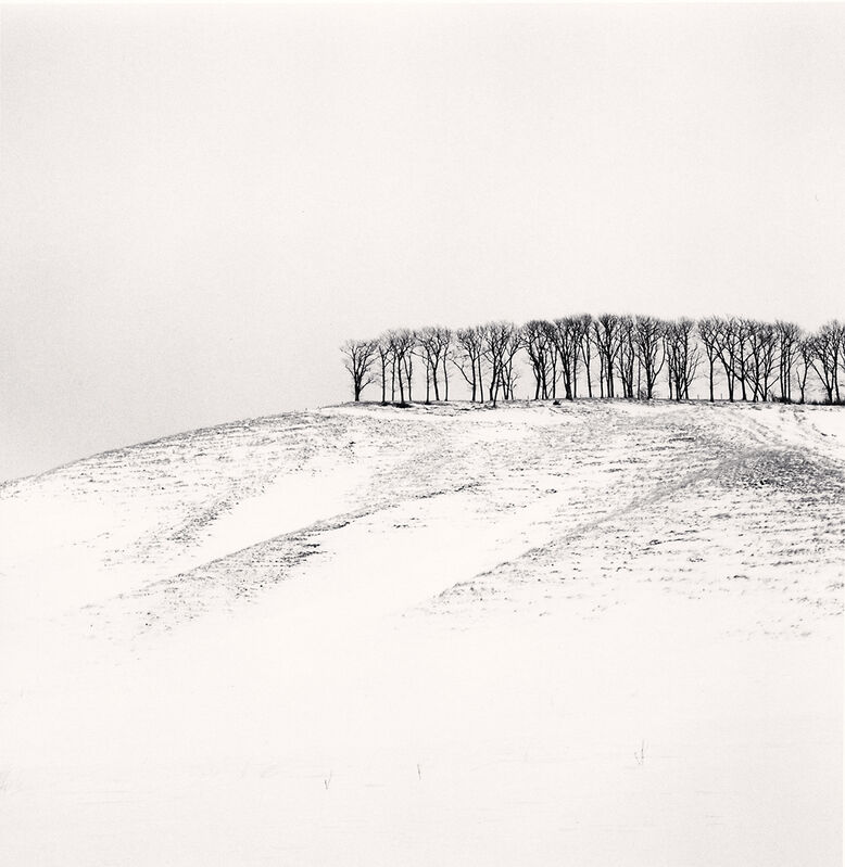 Michael Kenna, ‘Hilltop Trees, Study 4, Teshikaga, Hokkaido’, 2016, Photography, Silver Gelatin Print, Framed in Grey with Museum Glass, Bau-Xi Gallery