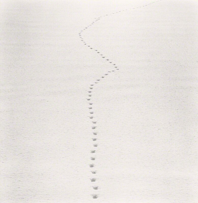 Michael Kenna, ‘Tracks in Snow, Biei, Hokkaido, Japan’, 2013, Photography, Toned silver print, Robert Mann Gallery