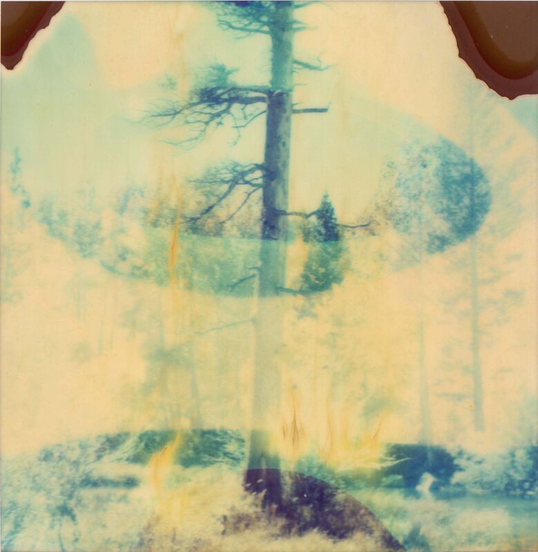 Stefanie Schneider, ‘In the Range of Light II (Wastelands)’, 2003, Photography, Analog C-Print, hand-printed by the artist on Fuji Crystal Archive Paper, based on a Polaroid. Mounted on Aluminum with matte UV-Protection., Instantdreams