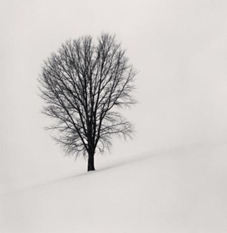 Michael Kenna, ‘Philosopher’s Tree, Study 1, Biei, Hokkaido, Japan’, 2004, Photography, Sepia toned silver gelatin print, Huxley-Parlour