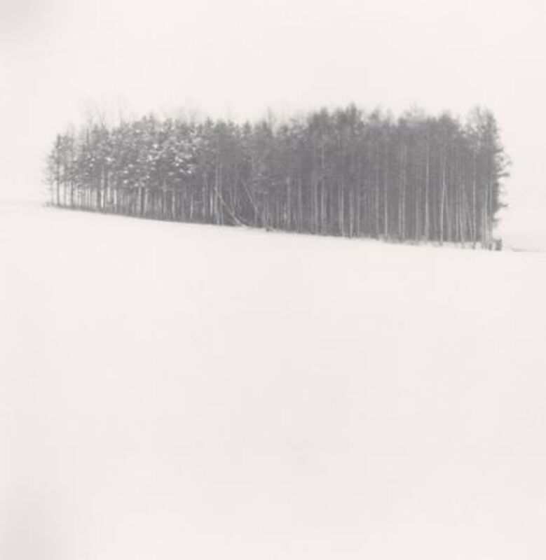 Michael Kenna, ‘Quiet Snow, Biei, Hokkaido, Japan’, 2004, Photography, Sepia toned silver gelatin print, Huxley-Parlour