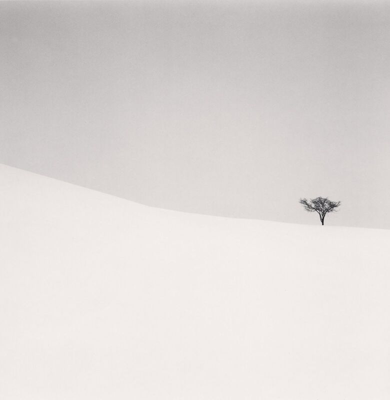 Michael Kenna, ‘Single Tree, Mita, Hokkaido, Japan’, 2007, Photography, Gelatin silver print on baryta paper, Galleria 13