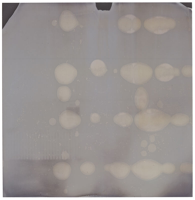 Stefanie Schneider, ‘Breathing IV (Deconstructivism) ’, 2010, Photography, Digital C-Print, based on a Polaroid, Instantdreams