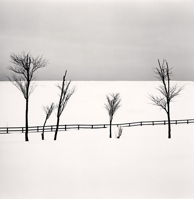 Michael Kenna, ‘Six Sipetca Trees, Shibecha, Hokkaido, Japan’, 2007, Photography, Gelatin-Silver Print, photo-eye Gallery