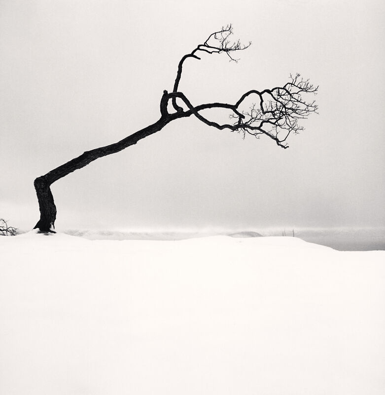 Michael Kenna, ‘Kussharo Lake Tree, Study 17, Kotan, Hokkaido, Japan’, 2007, Photography, Gelatin-Silver Print, photo-eye Gallery