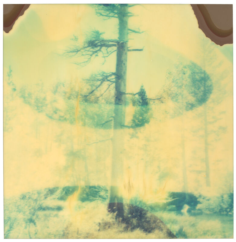Stefanie Schneider, ‘In the Range of Light (Wastelands)’, 2003, Photography, Analog C-Print, hand-printed by the artist on Fuji Crystal Archive Paper, based on a Polaroid, mounted on Aluminum with matte UV-Protection, Instantdreams