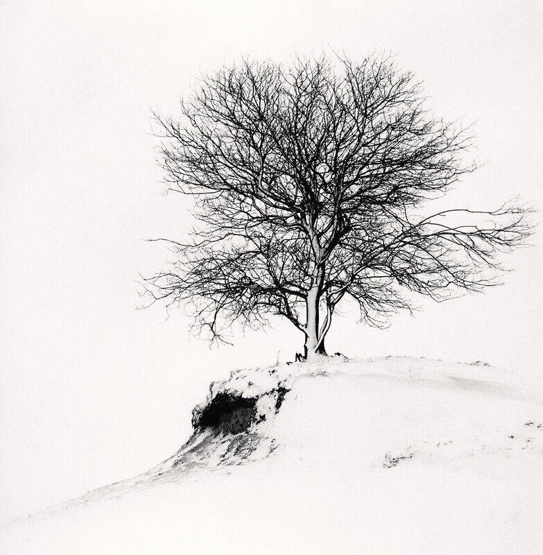 Michael Kenna, ‘Hill Edge Tree, Shibecha, Hokkaido, Japan’, 2007, Photography, Gelatin-Silver Print, photo-eye Gallery