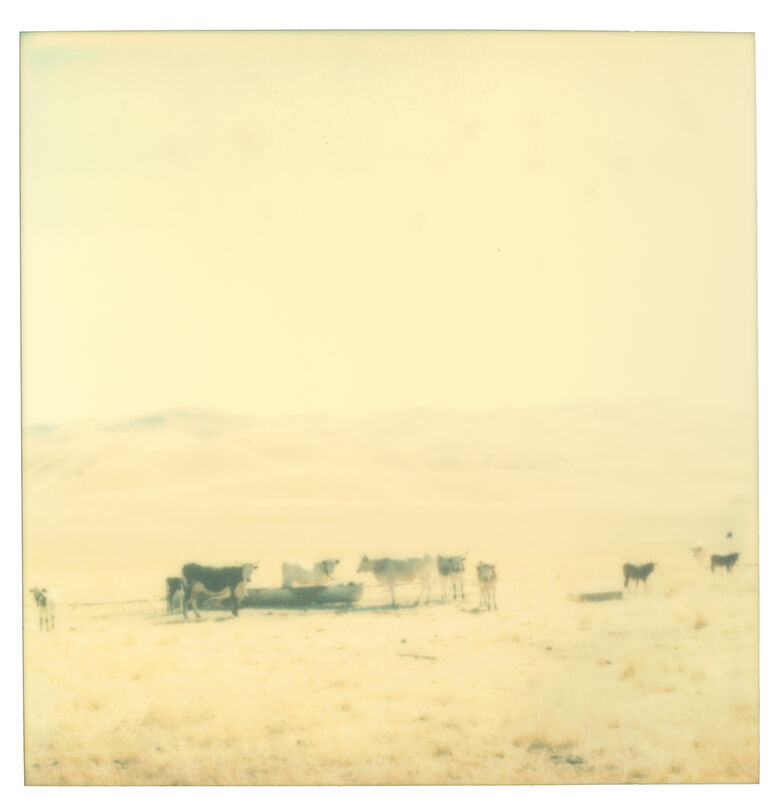 Stefanie Schneider, ‘Untitled’, 2004, Photography, Analog C-Print, hand-printed by the artist in her own color lab in Berlin, based on an expired Polaroid, Instantdreams