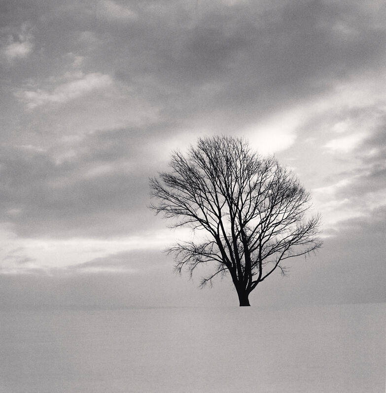 Michael Kenna, ‘Philosopher’s Tree, Study 6, Biei, Hokkaido, Japan’, 2009, Photography, Gelatin-Silver Print, photo-eye Gallery