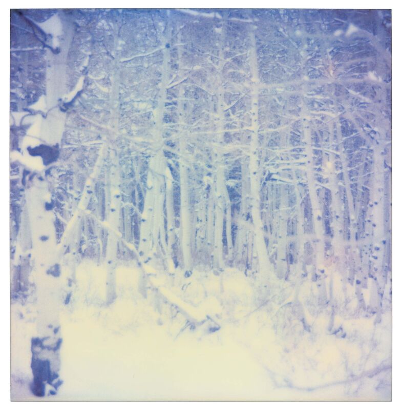 Stefanie Schneider, ‘Snow Silence (Stranger than Paradise)’, 2000, Photography, 2 Analog C-Prints, based on 2 Polaroids, hand-printed by the artist on Fuji Crystal Archive Paper, based on a Polaroid, mounted on Aluminum with matte UV-Protection, Instantdreams