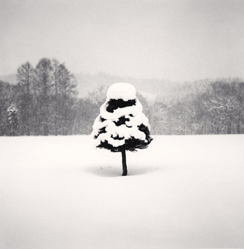 Michael Kenna, ‘Snow Parfait Tree, Wakoto, Hokkaido, Japan’, 2004, Photography, Sepia toned gelatin silver print, PDNB Gallery