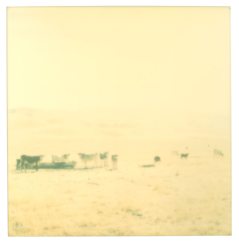 Stefanie Schneider, ‘Untitled - Contemporary, 21st Century, Polaroid, Landscape Photography’, 2004, Photography, Analog C-Print (Vintage Print), hand-printed by the artist, based on an expired Polaroid, not mounted, Instantdreams