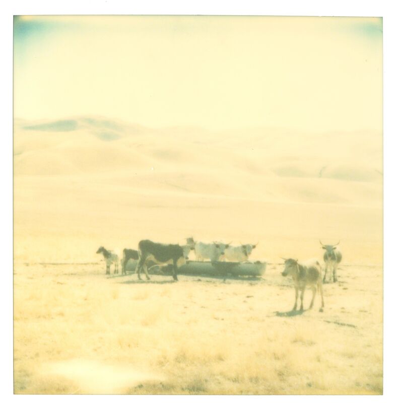Stefanie Schneider, ‘'Untitled (Oilfields)’, 2004, Photography, Digital C-Print based on a Polaroid, not mounted, Instantdreams