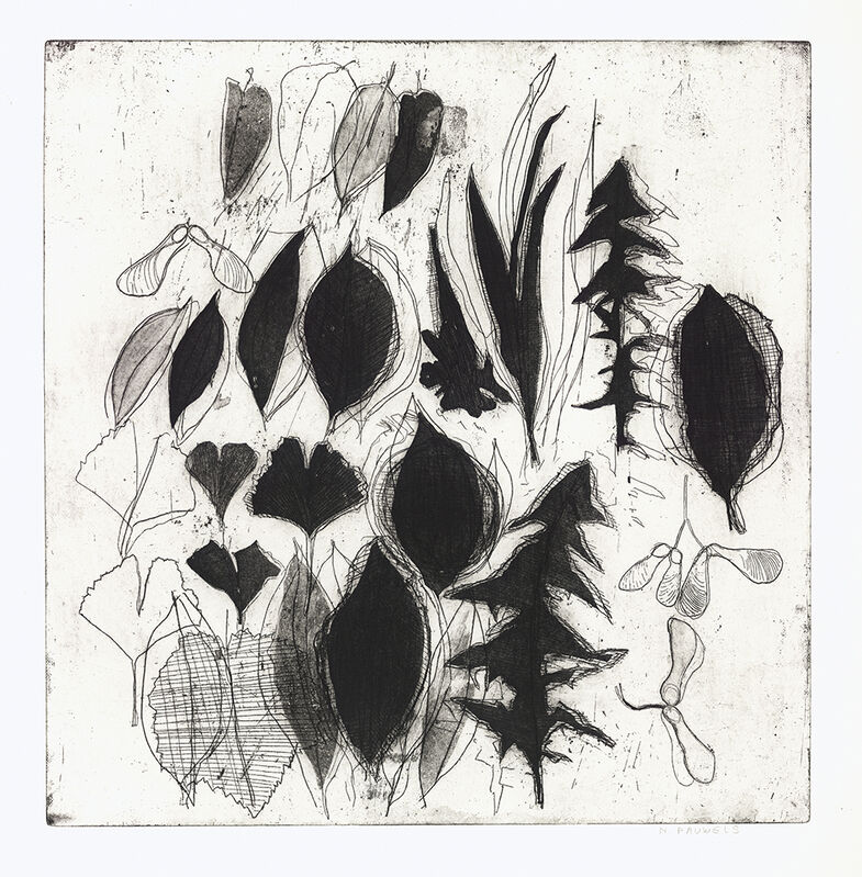 Nora Pauwels, ‘Street Plants’, 2019, Print, Etching, Kala Art Institute
