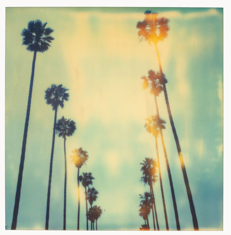 Stefanie Schneider, ‘Palm Trees on Wilcox - sold out Edition of 10, Artist Proof 2/2 (last) - analog’, 1999, Photography, Analog C-Print, hand-printed by the artist, based on a SX-70 Polaroid, mounted on Aluminum with matte UV-Protection, Instantdreams