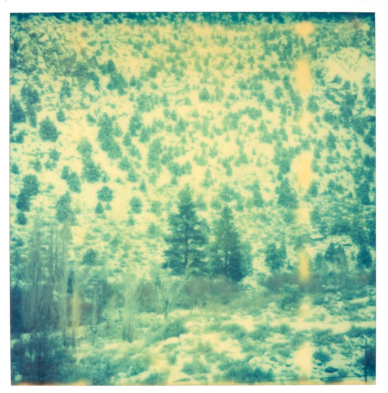Stefanie Schneider, ‘Magic Mountain I (Memories of Green)’, 2003, Photography, Analog C-Print, hand-printed by the artist on Fuji Crystal Archive Paper, based on a Polaroid, not mounted, Instantdreams