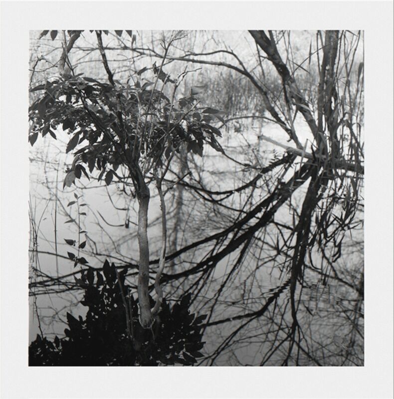 Jennifer Marshall, ‘Reflections I’, 2008, Print, Photolithograph, Jungle Press