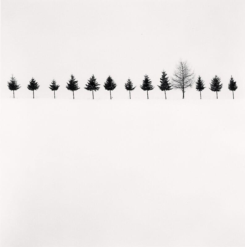 Michael Kenna, ‘Line of Trees, Biei, Hokkaido, Japan’, 2012, Photography, Gelatin silver print, Galleria 13