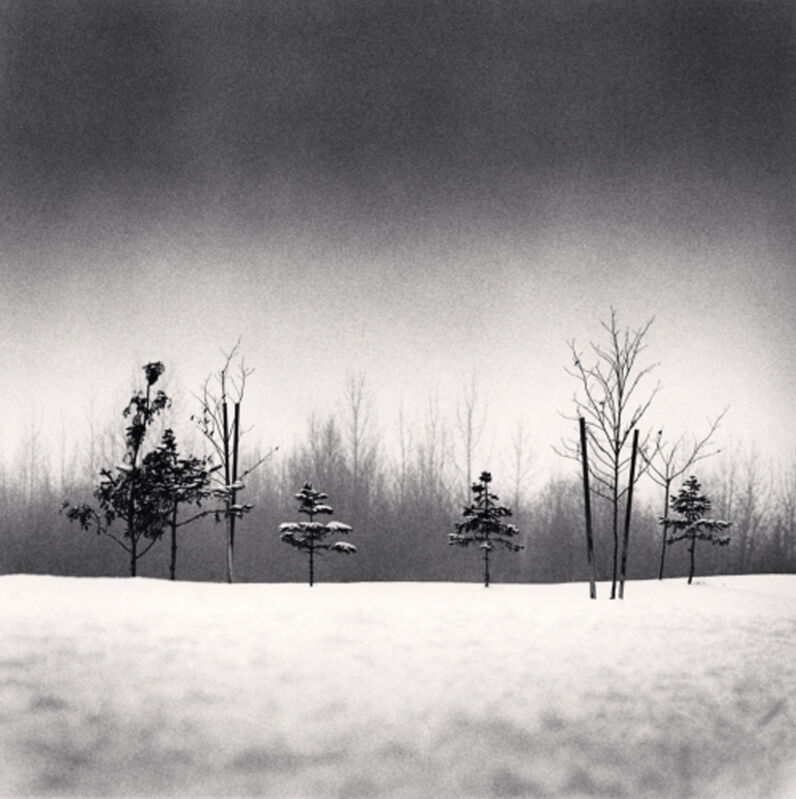 Michael Kenna, ‘Small Trees, Anchorage, Alaska, USA’, 1989, Photography, Gelatins silver print, PDNB Gallery